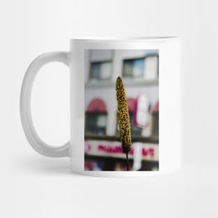 Cat tail seeding Mug